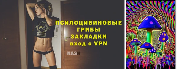 дживик Балахна