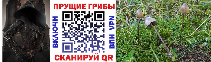 Галлюциногенные грибы MAGIC MUSHROOMS Давлеканово